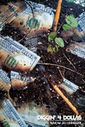 FARMACY SEED BUNDLE (BOOK, SHIRT, EP, & SINGLE)